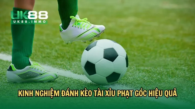 cach doc keo tai xiu goc 3 Kinh nghiệm đánh kèo Tài Xỉu phạt góc hiệu quả